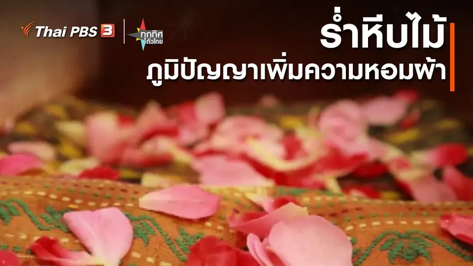 ​วิถีทั่วไทย : ร่ำหีบไม้ภูมิปัญญาเพิ่มความหอมผ้า จ.สกลนคร