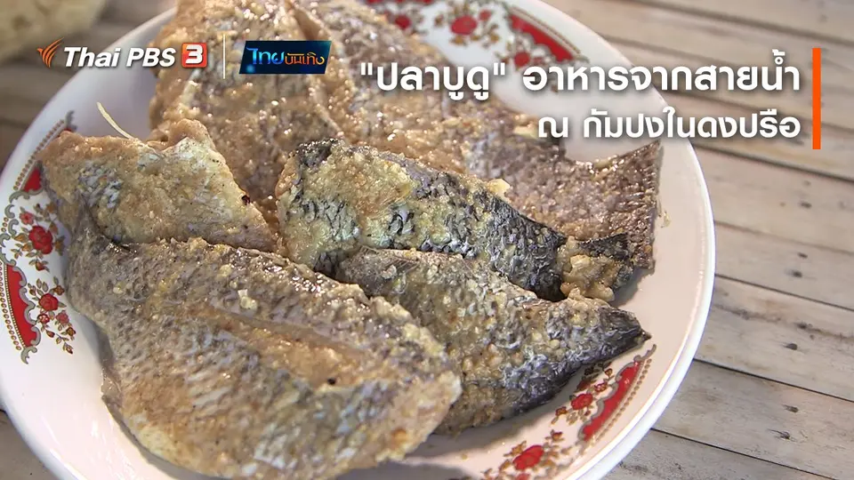 อิ่มมนต์รส : "ปลาบูดู" อาหารจากสายน้ำ ณ กัมปงในดงปรือ