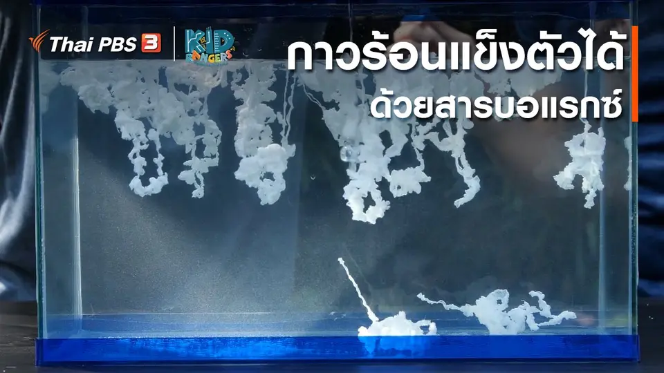 คิดส์เรียนรู้ : กาวร้อนแข็งตัวได้ด้วยสารบอแรกซ์