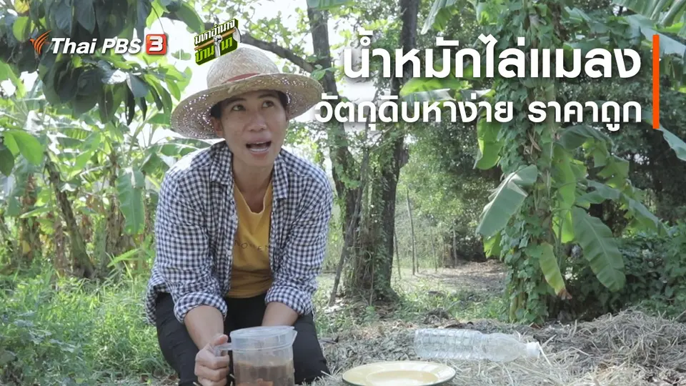 สูตรลับฉบับบ้านนา : น้ำหมักไล่แมลง