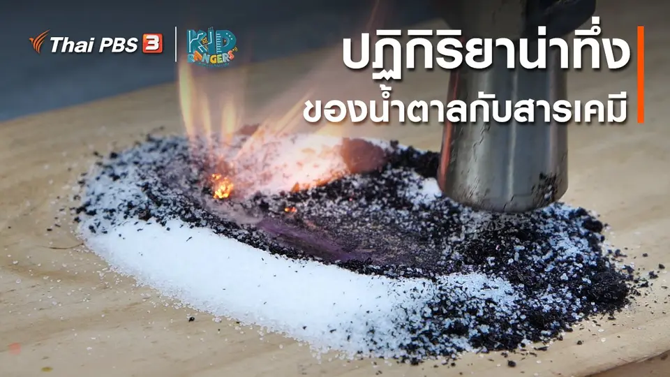 ​คิดส์เรียนรู้ : ปฏิกิริยาน่าทึ่งของน้ำตาลกับสารเคมี