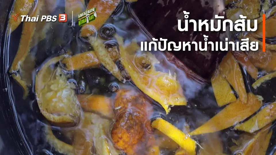 สูตรลับฉบับบ้านนา : น้ำหมักส้ม