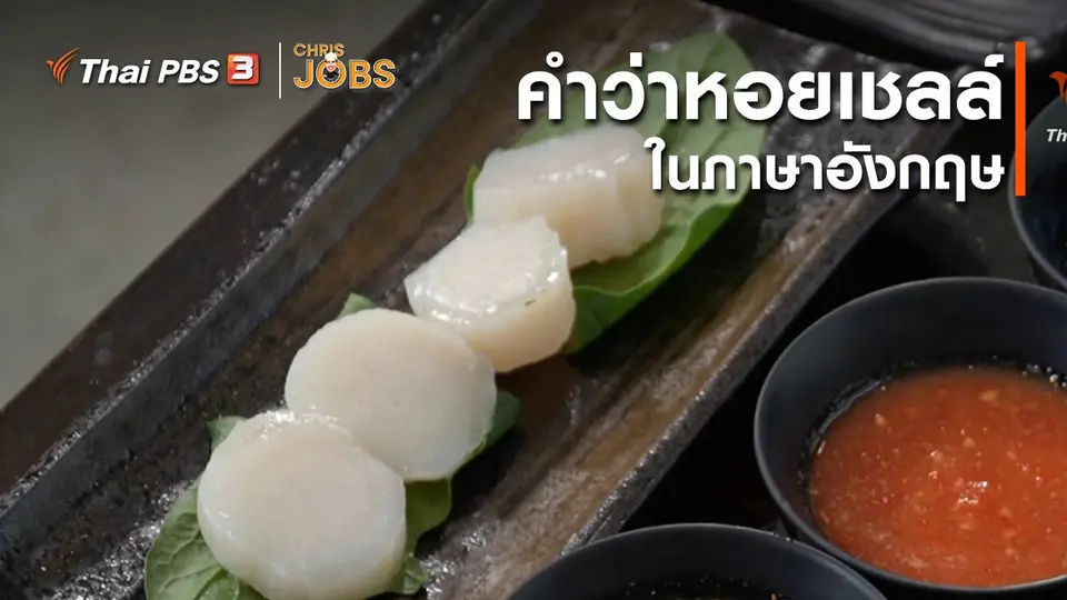 สาระน่ารู้จาก Chris Jobs : คำว่าหอยเชลล์ในภาาษาอังกฤษ