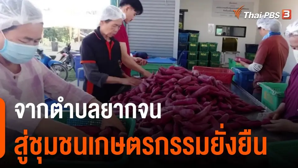 ดอกผลของความยั่งยืน : จากตำบลยากจน สู่ชุมชนเกษตรกรรมยั่งยืน
