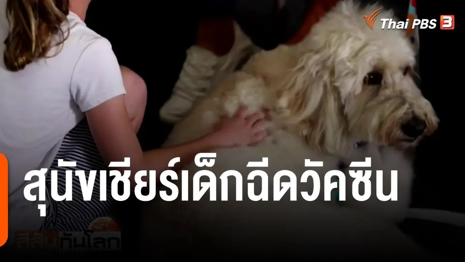สุนัขเชียร์เด็กฉีดวัคซีน