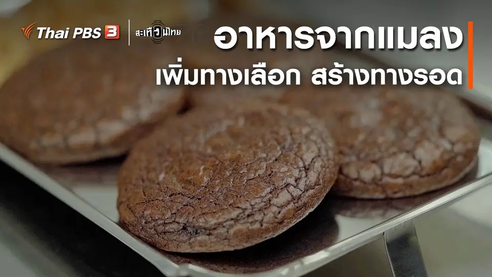 ​นักสร้างความเปลี่ยนแปลง : อาหารจากแมลง เพิ่มทางเลือก สร้างทางรอด
