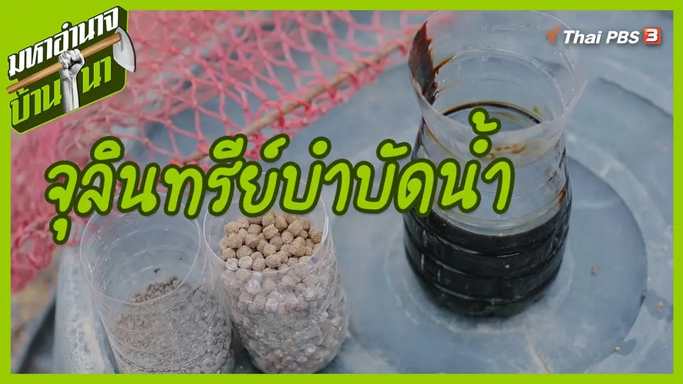 สูตรลับฉบับบ้านนา : จุลินทรีย์บำบัดน้ำ