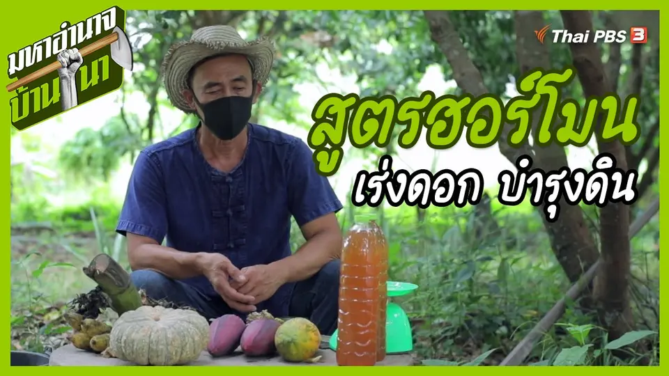 สูตรลับฉบับบ้านนา : สูตรฮอร์โมน เร่งดอก บำรุงดิน