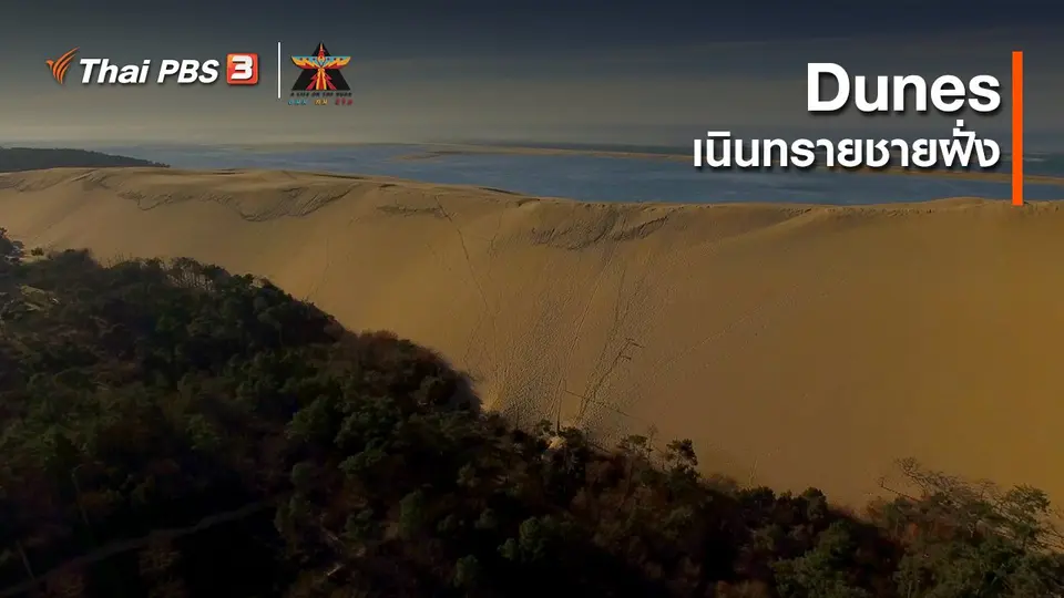 ​เรื่องเล่าการเดินทาง : เนินทรายชายฝั่ง (Dunes)
