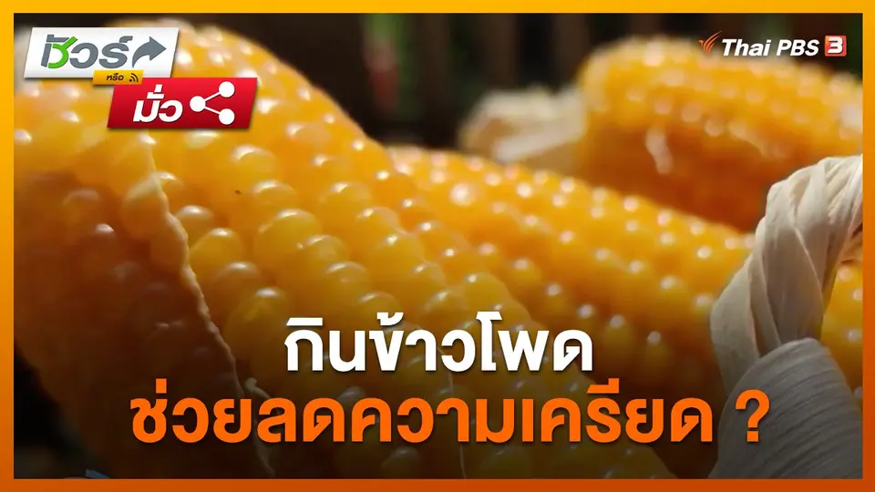 ชัวร์หรือมั่ว : กินข้าวโพดช่วยลดความเครียด ?