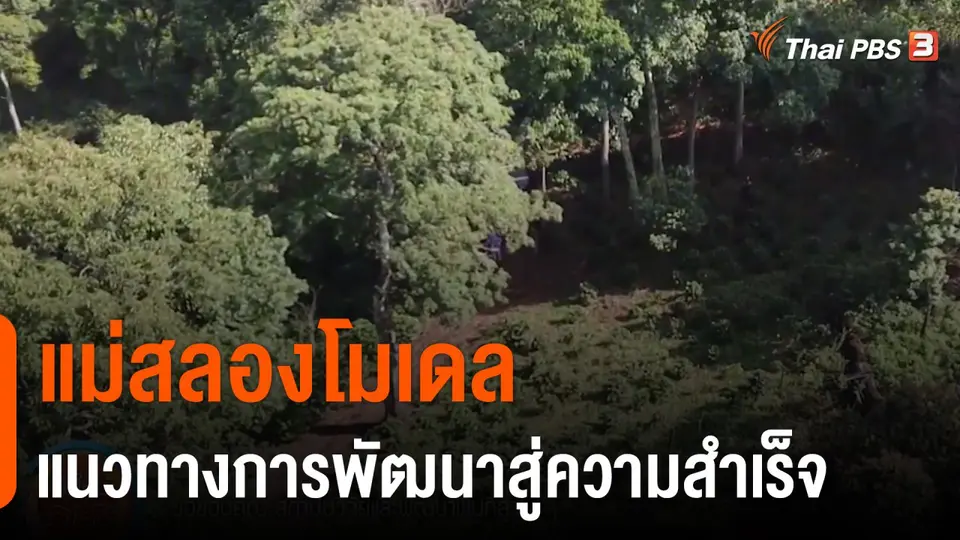 ดอกผลของความยั่งยืน : แม่สลองโมเดล แนวทางการพัฒนาสู่ความสำเร็จ