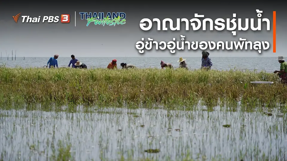 ​Unseen Thailand Fantastic : อาณาจักรชุ่มน้ำ