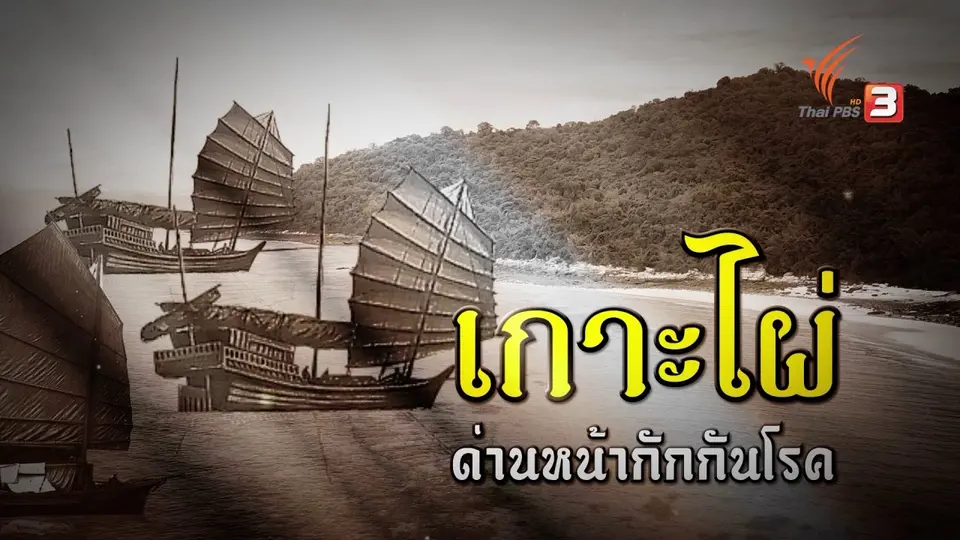 "กาฬโรค" กับ "เกาะไผ่"