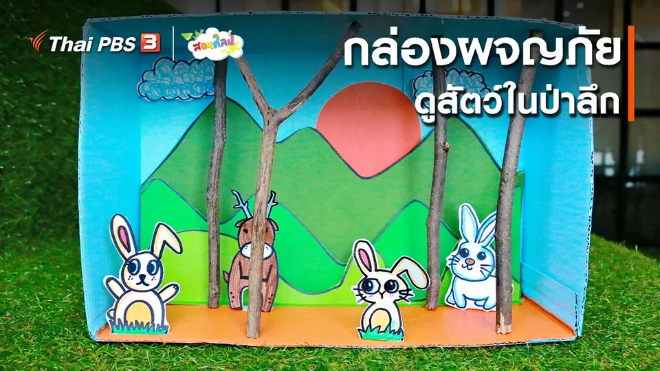​ไอเดียสอนศิลป์ : กล่องผจญภัยดูสัตว์ในป่าลึก