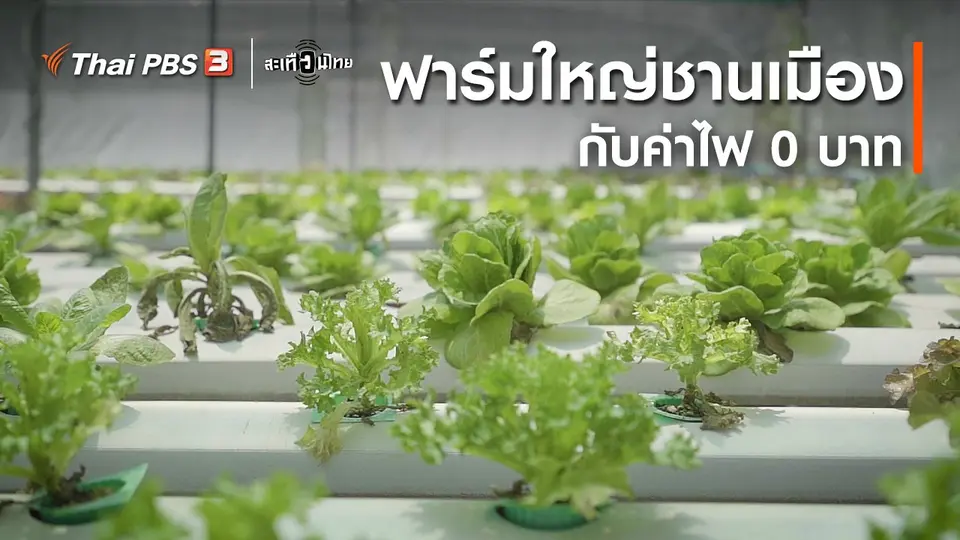 ​นักสร้างความเปลี่ยนแปลง : ฟาร์มใหญ่ชานเมือง กับค่าไฟ 0 บาท