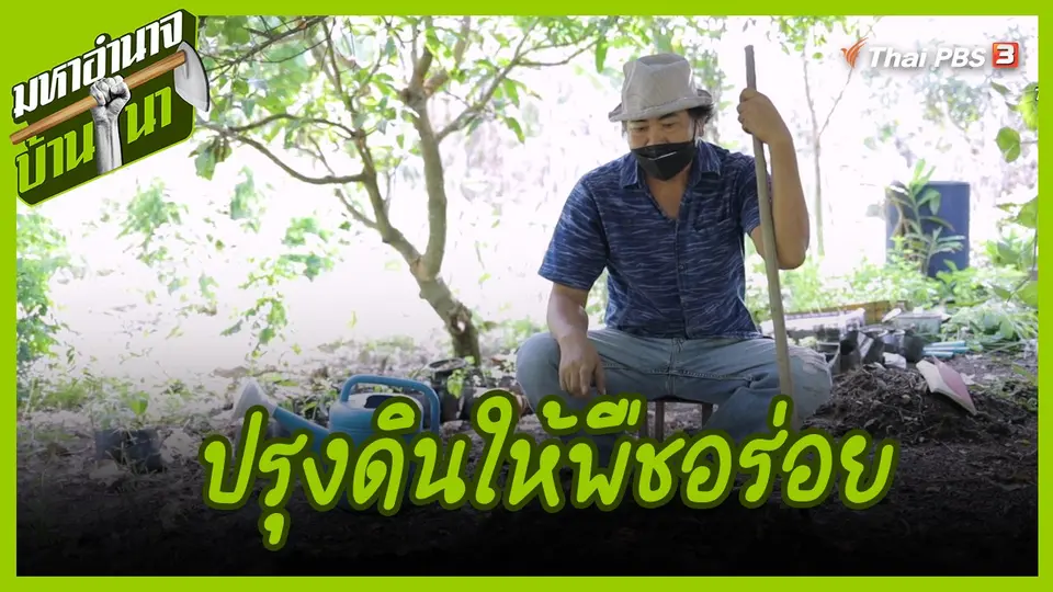สูตรลับฉบับบ้านนา : ปรุงดินให้พืชอร่อย