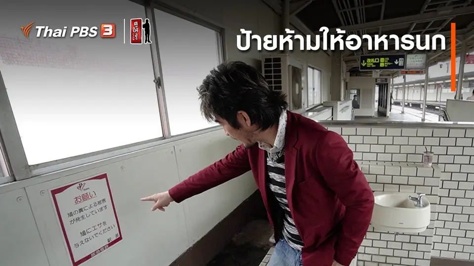 รู้ให้ลึกเรื่องญี่ปุ่น : ป้ายห้ามให้อาหารนก