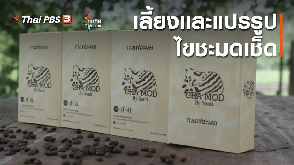 เลี้ยงและแปรรูปไขชะมดเช็ด จ.ฉะเชิงเทรา.mp4