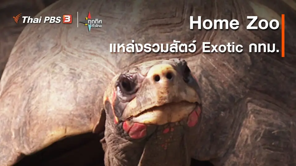 ​วิถีทั่วไทย : Home Zoo แหล่งรวมสัตว์ Exotic กทม.