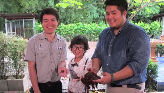 ไส้เดือน...มังกรแห่งพื้นดิน