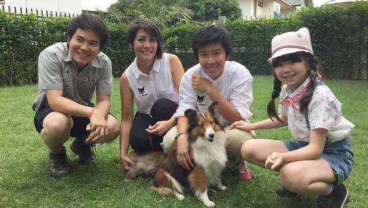“ดอกฟ้า” กับ “หมา(แมว)วัด”