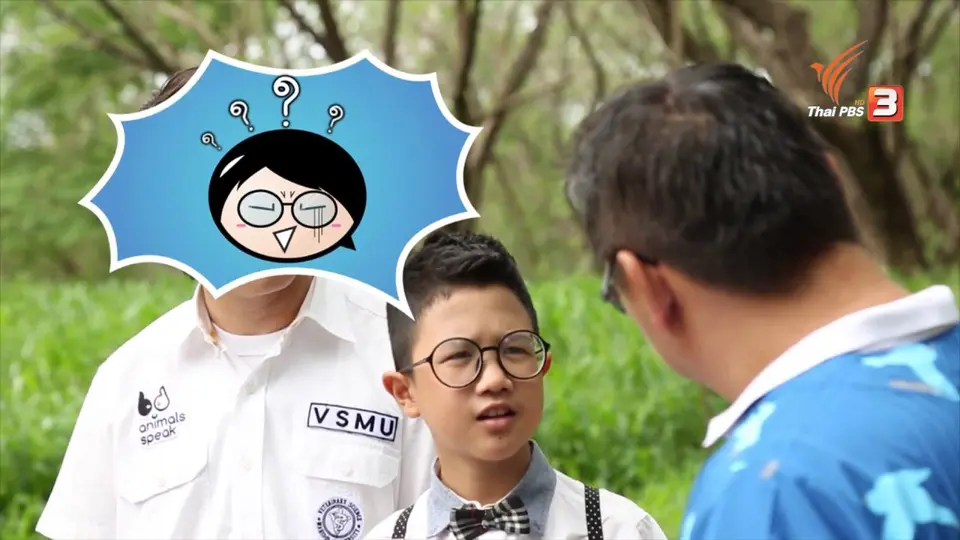 วัวออร์แกนิก