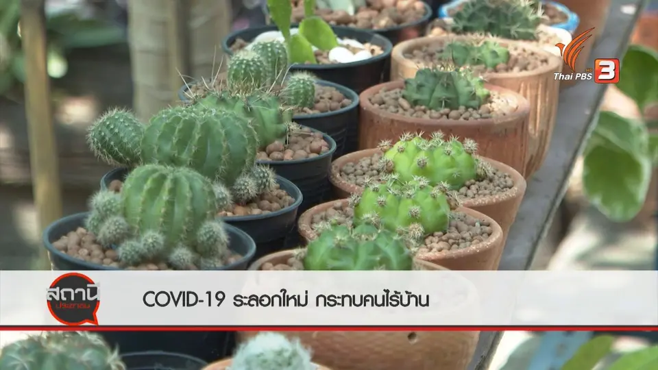 สถานีร้องเรียน : COVID-19 กระทบคนไร้บ้าน