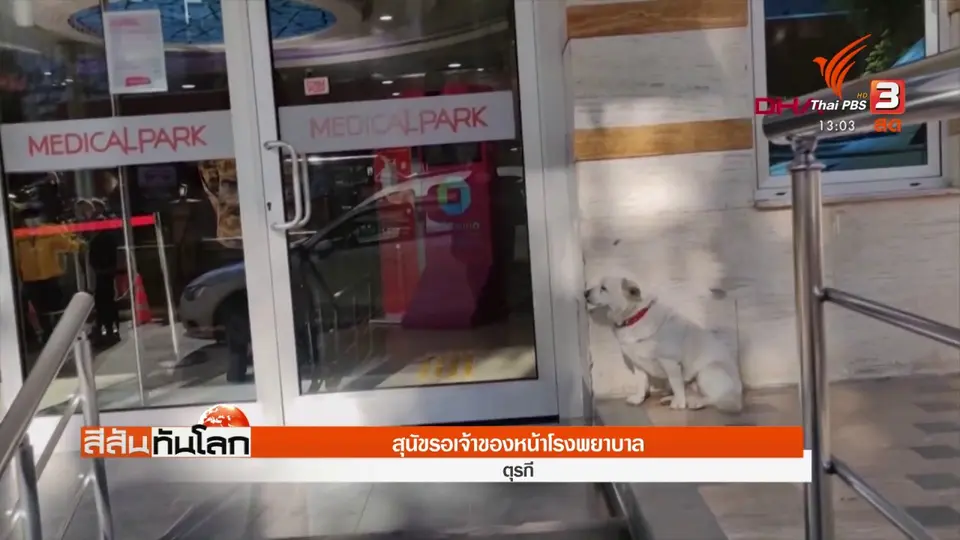 ​สุนัขรอเจ้าของหน้าโรงพยาบาล