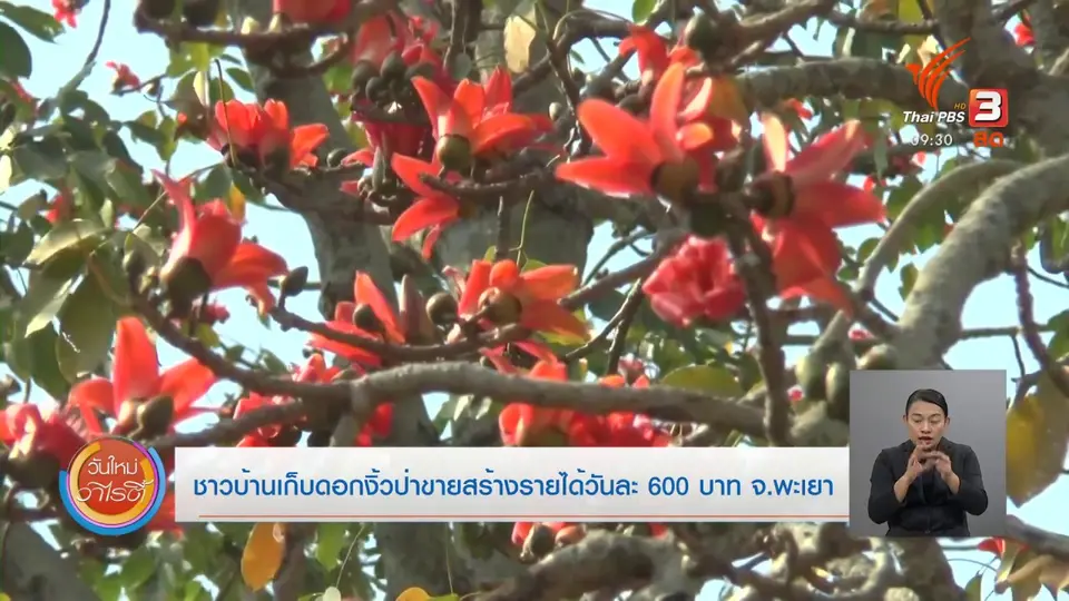 สีสันวาไรตี้ (2 ก.พ. 64)