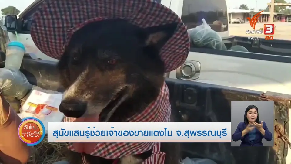 สีสันวาไรตี้ (4 ก.พ. 64)
