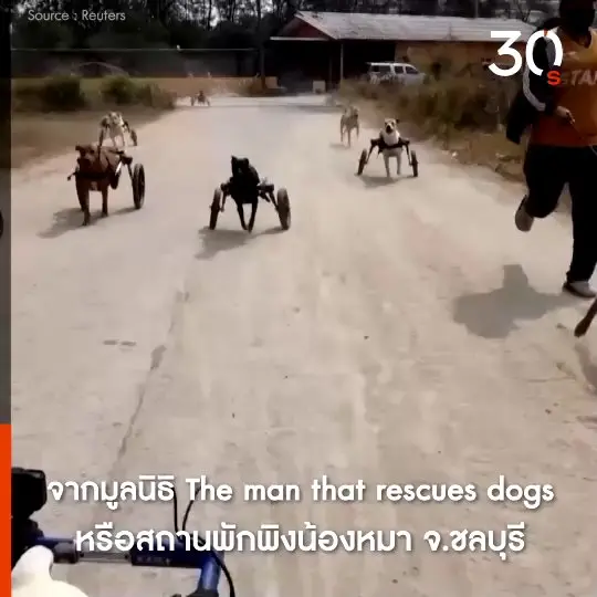แก๊งวีลแชร์