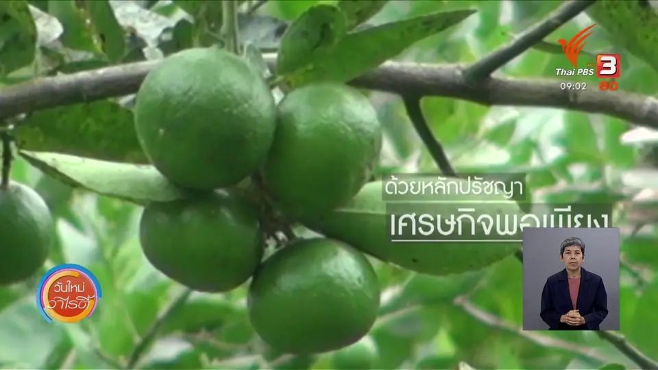 แสงจากพ่อ สู่ความยั่งยืน : 2 ไร่ของความพอเพียง