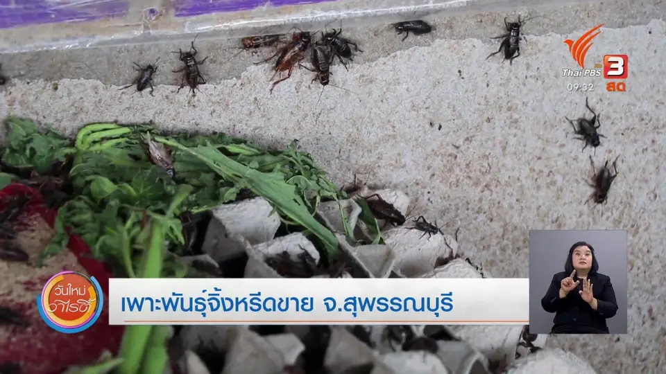 สีสันวาไรตี้ (10 ก.พ. 64)