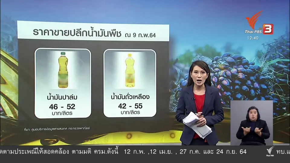​วัคซีนเศรษฐกิจ : วังวนปัญหาน้ำมันปาล์ม