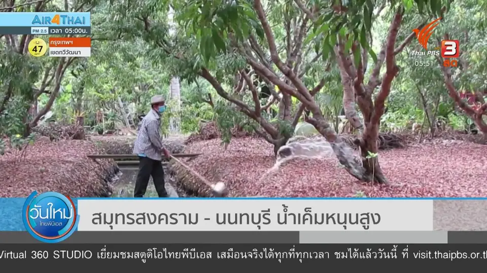สมุทรสงคราม - นนทบุรี น้ำเค็มหนุนสูง