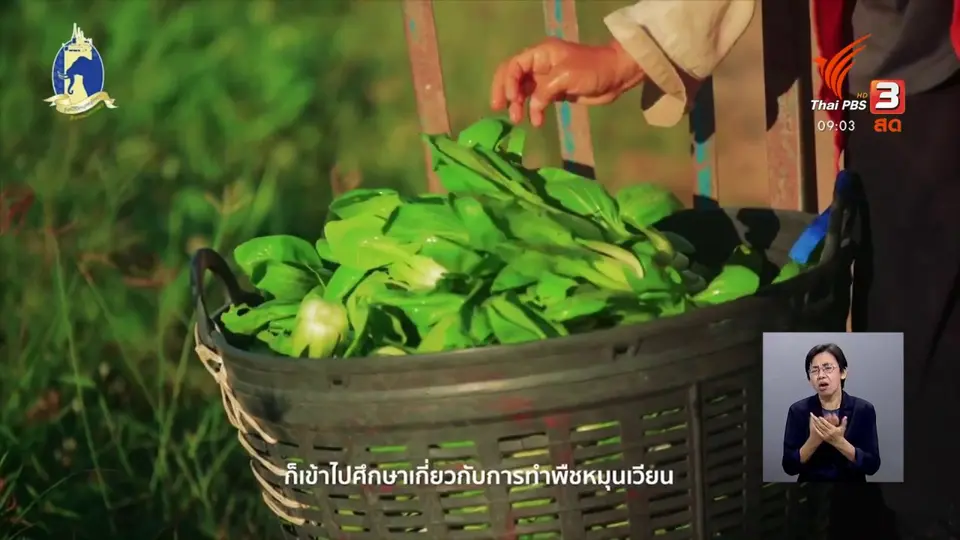 แสงจากพ่อ สู่ความยั่งยืน : บริษัทเกษตรสุข(ไม่)จำกัด