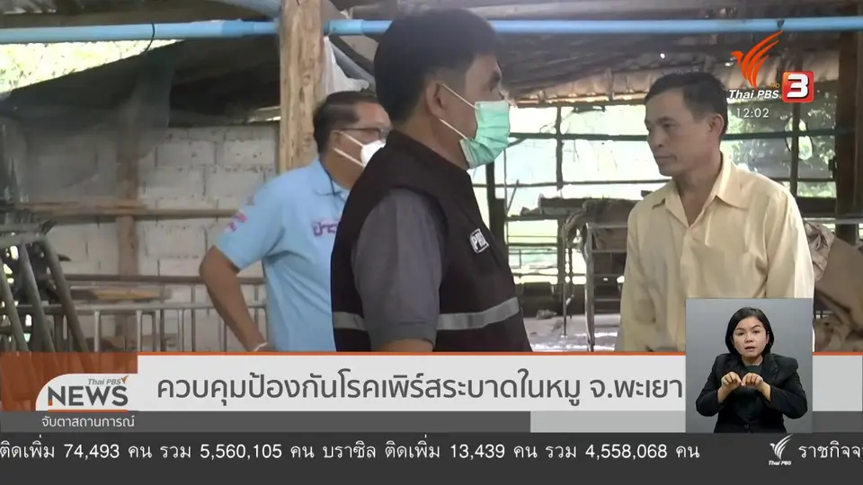 ควบคุมป้องกันโรคเพิร์สระบาดในหมู จ.พะเยา