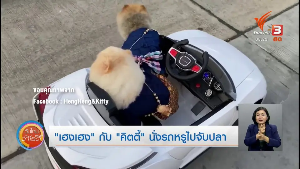 ​จับตาข่าวเด่น​ : “เฮงเฮง” กับ “คิตตี้” นั่งรถหรูไปจับปลา
