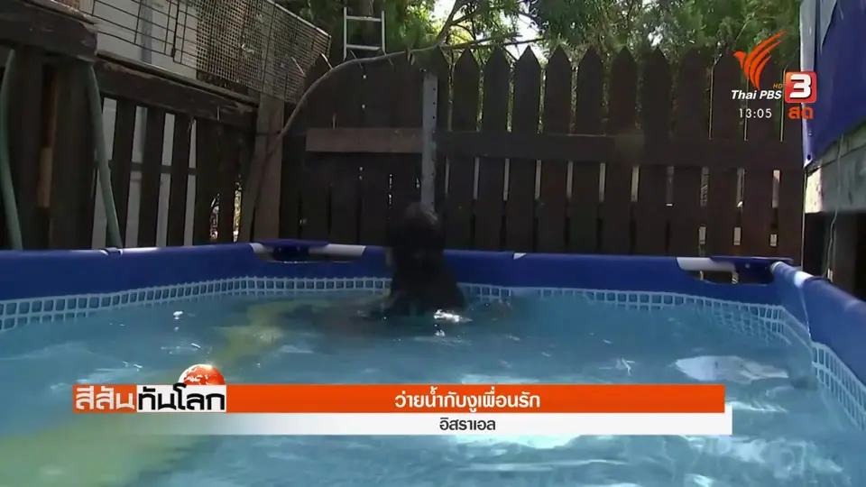 ว่ายน้ำกับงูเพื่อนรัก