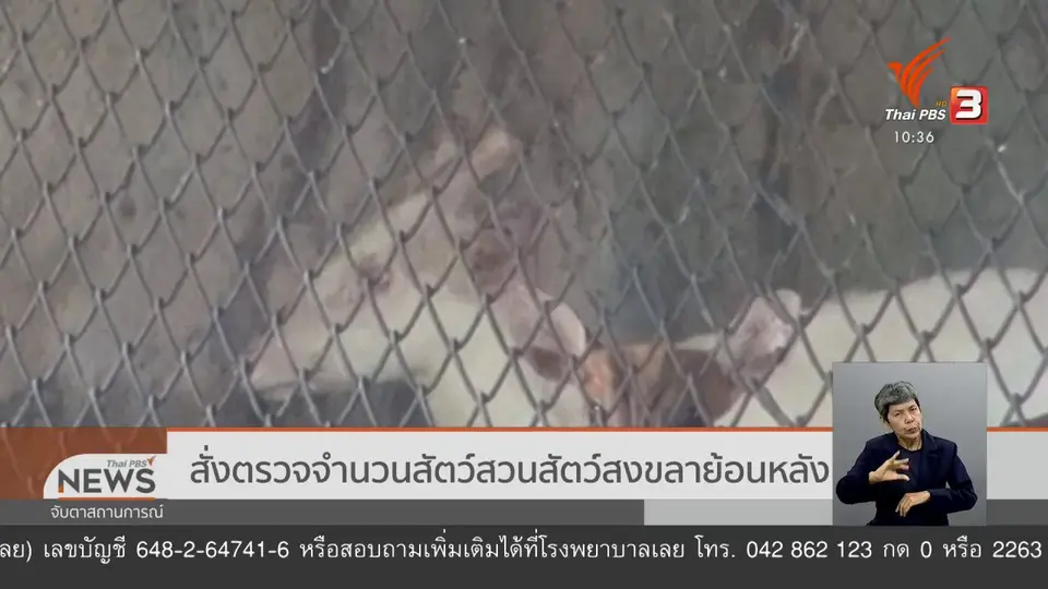 ​สั่งตรวจจำนวนสัตว์สวนสัตว์สงขลาย้อนหลัง