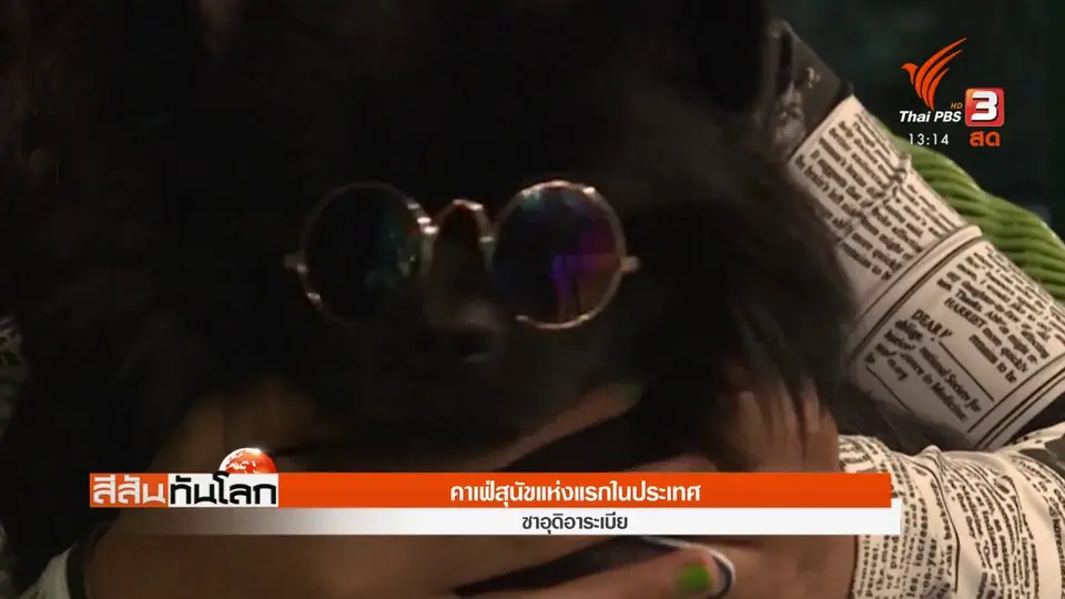 คาเฟ่สุนัขแห่งแรกในประเทศ
