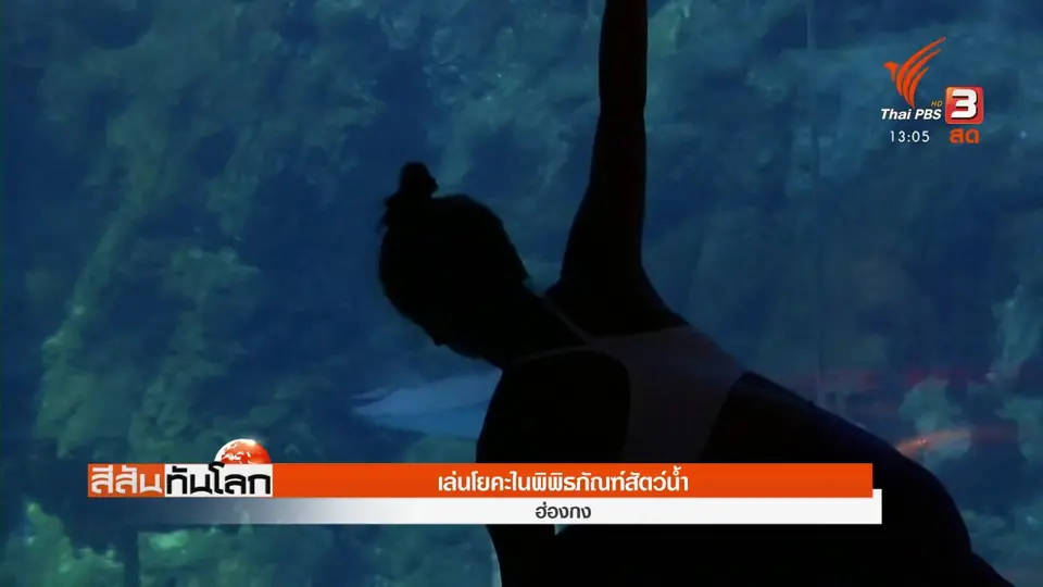 ​เล่นโยคะในพิพิธภัณฑ์สัตว์น้ำ