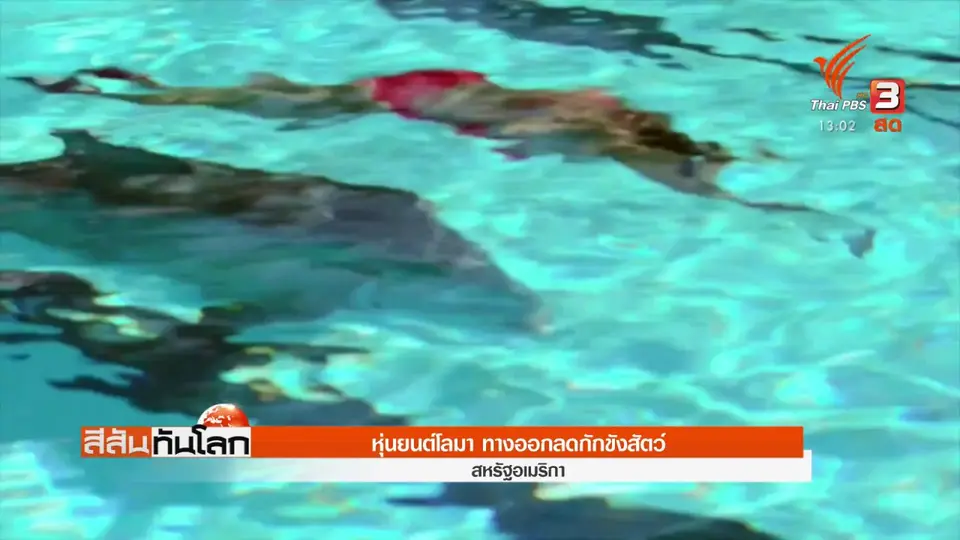 หุ่นยนต์โลมา ทางออกลดกักขังสัตว์