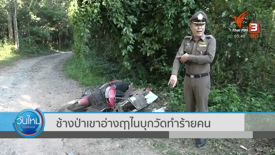 ​ช้างป่าเขาอ่างฤาไนบุกวัดทำร้ายคน