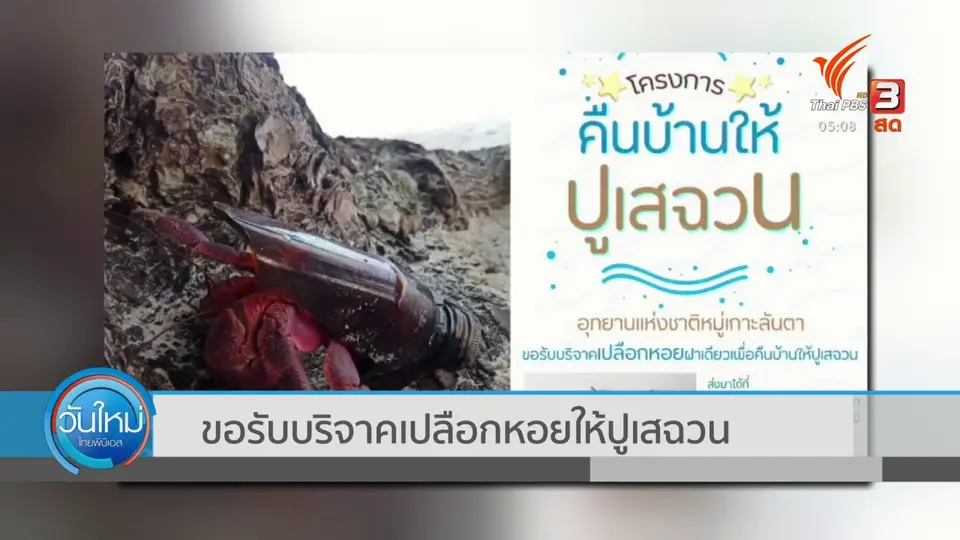 ​ขอรับบริจาคเปลือกหอยให้ปูเสฉวน