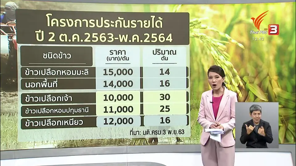 วัคซีนเศรษฐกิจ : ประกันรายได้ช่วยข้าวราคาตก