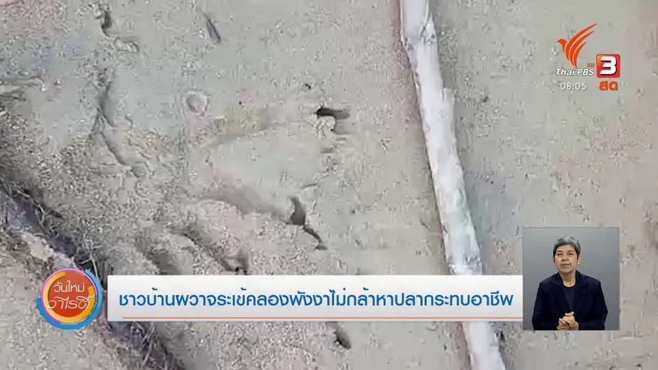จับตาข่าวเด่น : ชาวบ้านผวาจระเข้คลองพังงา ไม่กล้าหาปลา กระทบอาชีพ