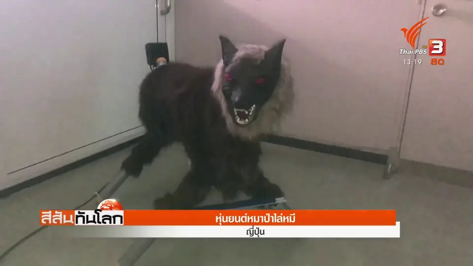 ​หุ่นยนต์หมาป่าไล่หมี