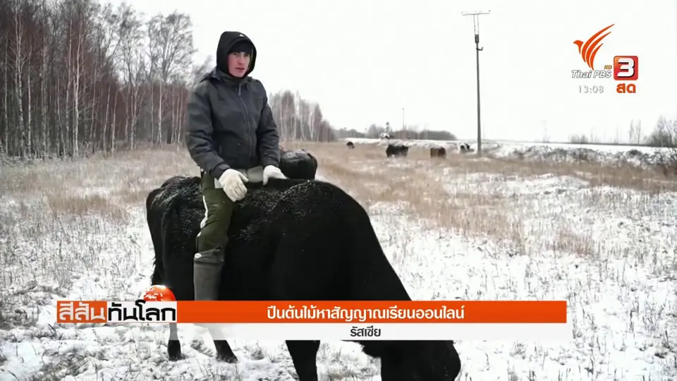 ​ปีนต้นไม้หาสัญญาณเรียนออนไลน์