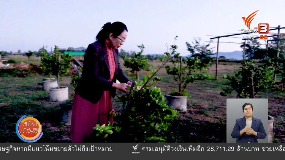 ​แสงจากพ่อ สู่ความยั่งยืน : ครูผู้สืบสานศาสตร์พระราชา